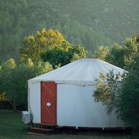 Yol Glamping Otel Kayaköy Dış mekan fotoğraf