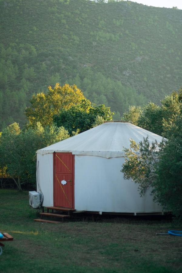 Yol Glamping Otel Kayaköy Dış mekan fotoğraf